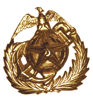 Vietnamese Marine insignia